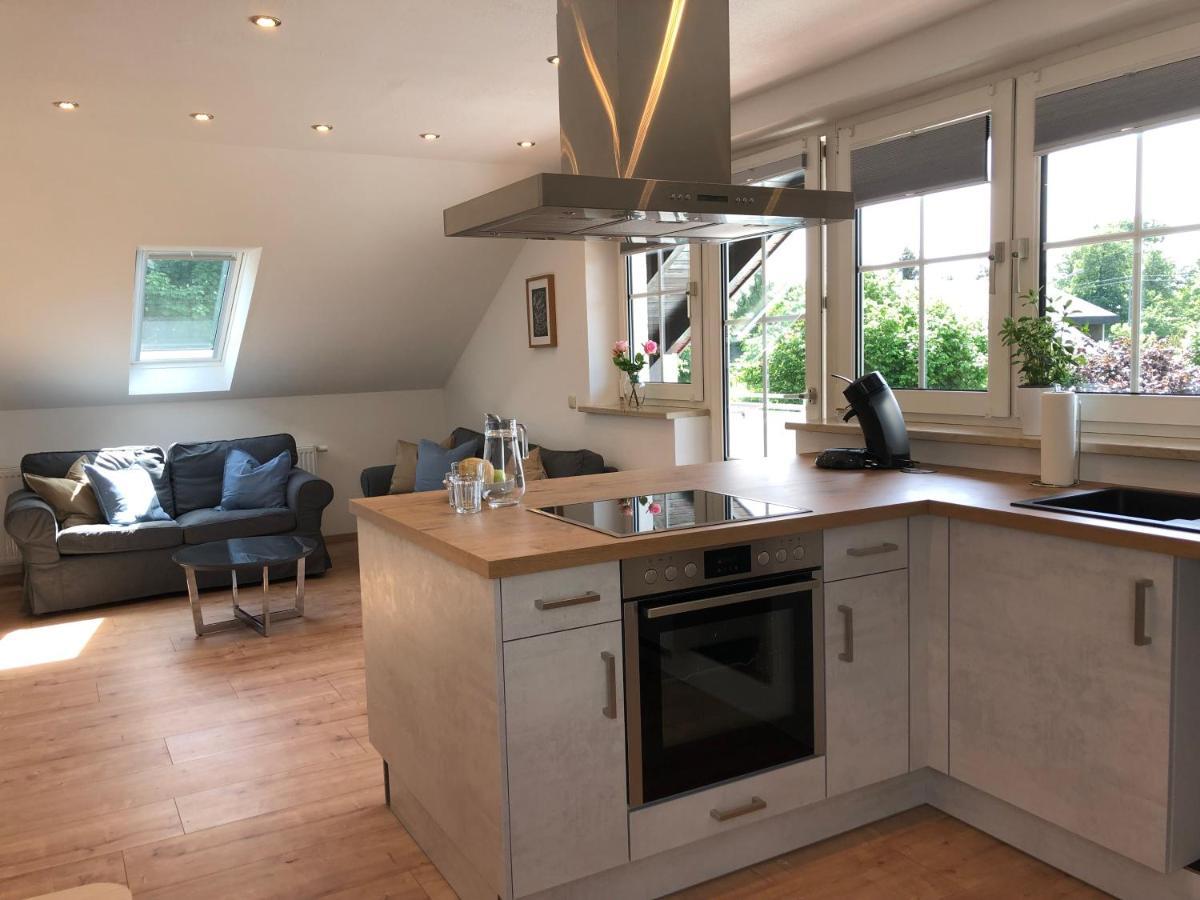 Haus Am Spitalgarten Fuer 10 Personen Gundelfingen an der Donau Εξωτερικό φωτογραφία